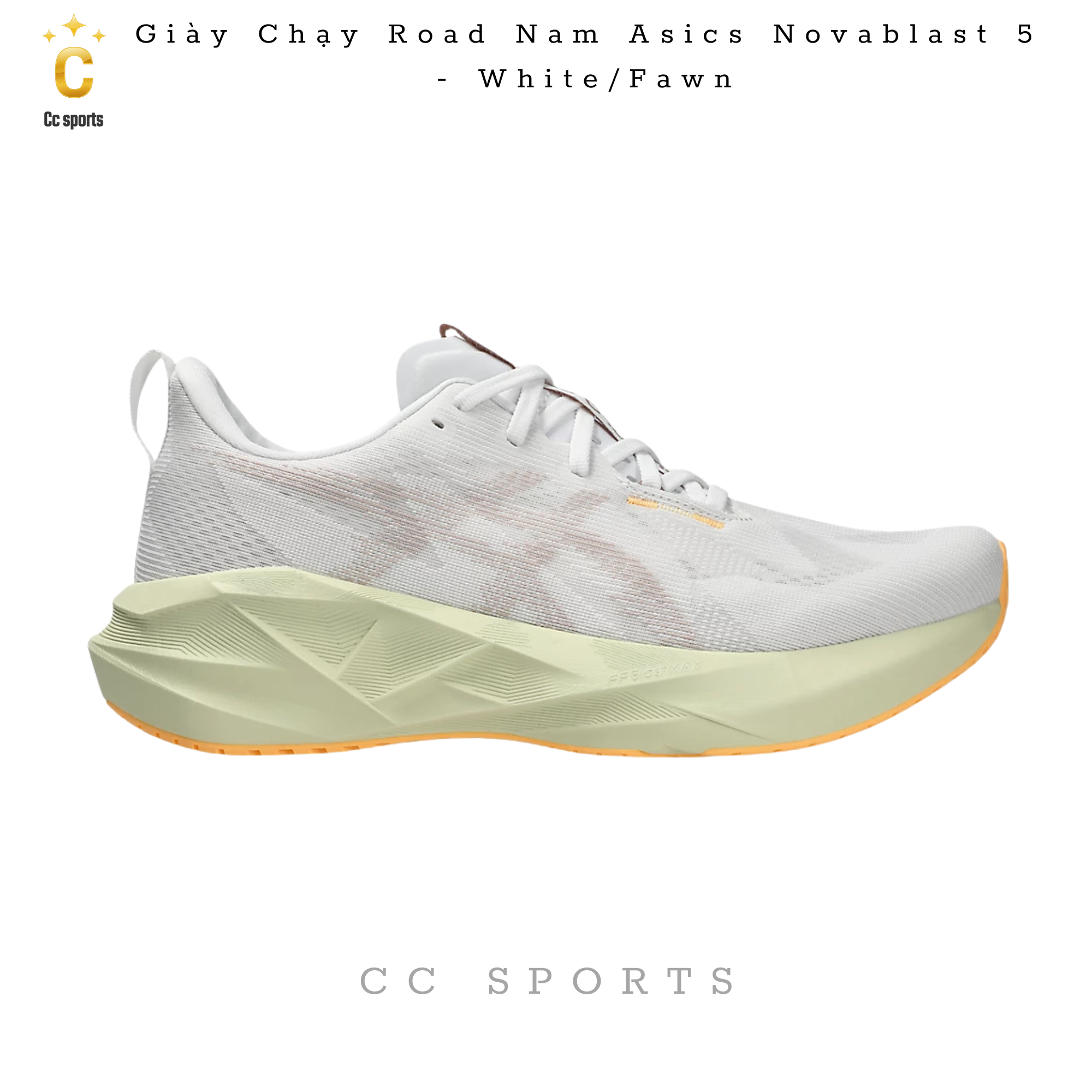 Giày Asics Novablast 5 ‘white’  MEN